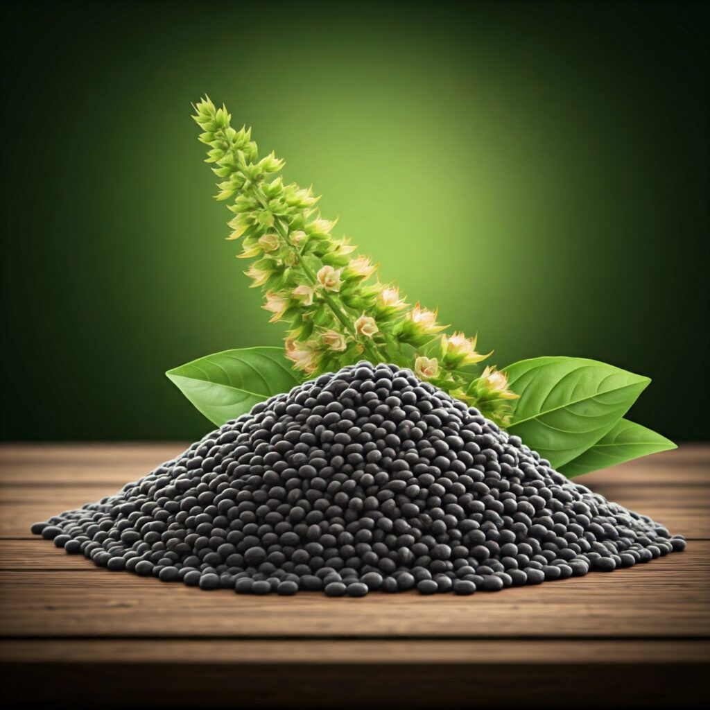 Basil seeds