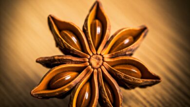 Star Anise