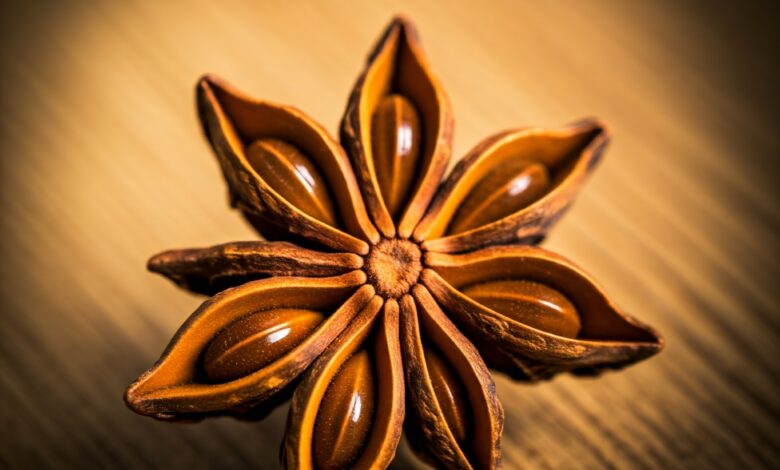 Star Anise