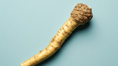 horseradish