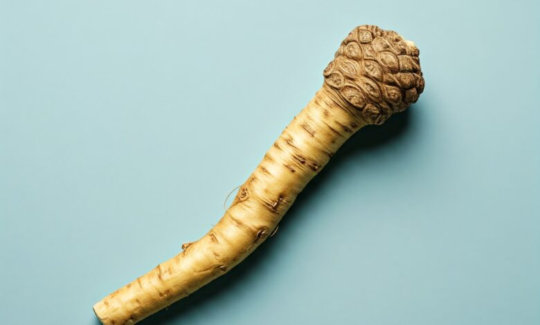 horseradish