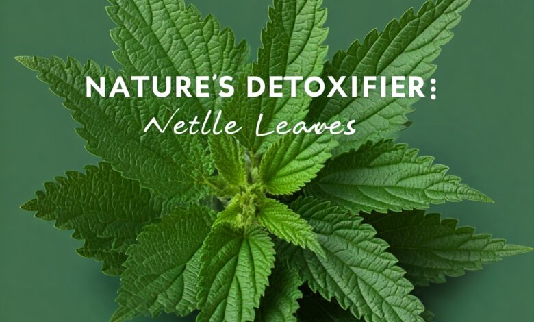 nettle